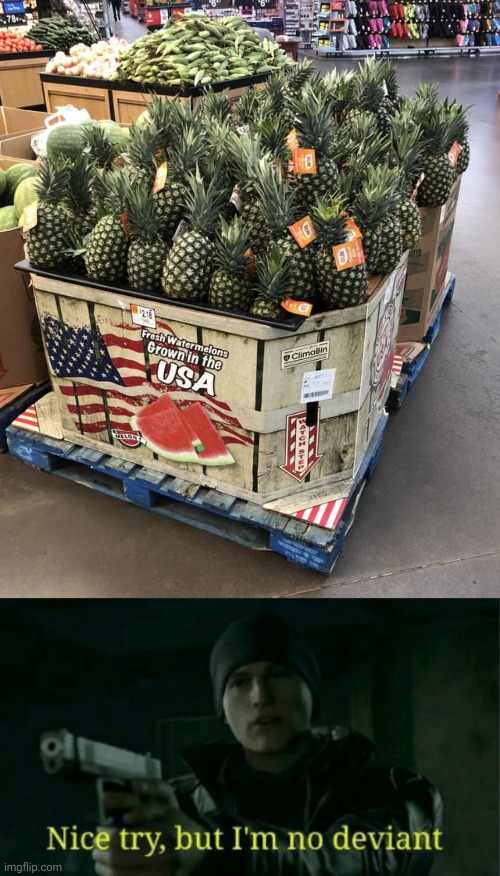 Pineapples | image tagged in nice try but i m no deviant,pineapple,pineapples,watermelons,you had one job,memes | made w/ Imgflip meme maker