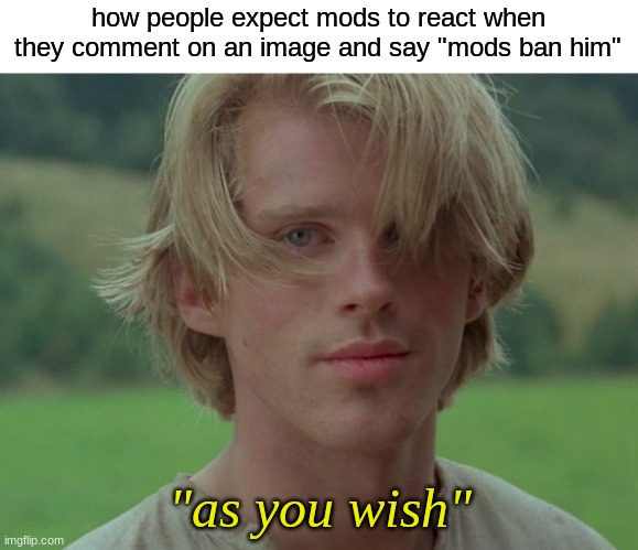 As You Wish | how people expect mods to react when they comment on an image and say "mods ban him"; "as you wish" | image tagged in as you wish | made w/ Imgflip meme maker