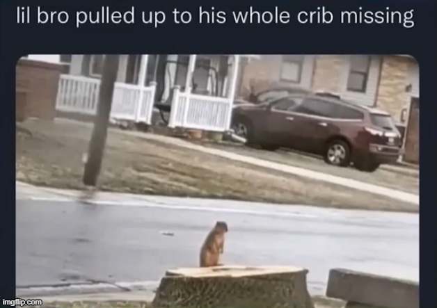 . | made w/ Imgflip meme maker