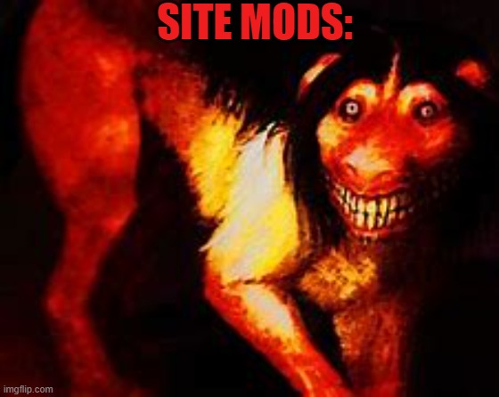 Smile dog | SITE MODS: | image tagged in smile dog | made w/ Imgflip meme maker