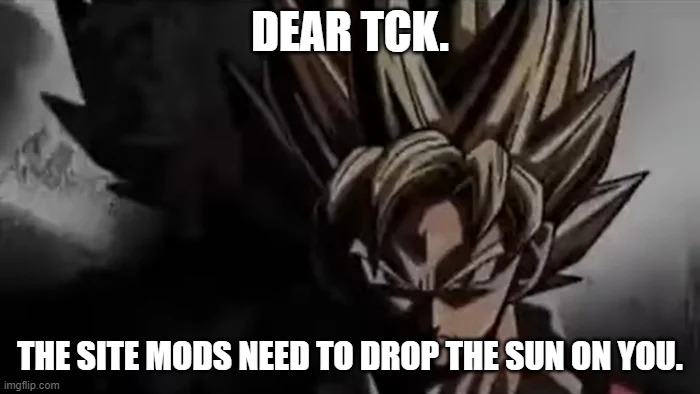 Goku Staring | DEAR TCK. THE SITE MODS NEED TO DROP THE SUN ON YOU. | image tagged in goku staring | made w/ Imgflip meme maker