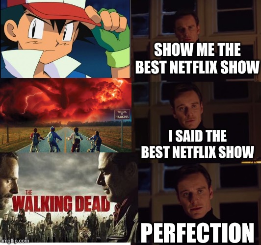 Perfection | SHOW ME THE BEST NETFLIX SHOW; I SAID THE BEST NETFLIX SHOW; PERFECTION | image tagged in perfection | made w/ Imgflip meme maker