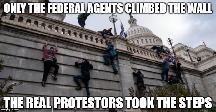 capitol riot | ONLY THE FEDERAL AGENTS CLIMBED THE WALL; THE REAL PROTESTORS TOOK THE STEPS | image tagged in capitol riot | made w/ Imgflip meme maker