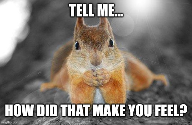 Sarah Saw a Squirrel | TELL ME... HOW DID THAT MAKE YOU FEEL? | image tagged in squirrel therapist | made w/ Imgflip meme maker