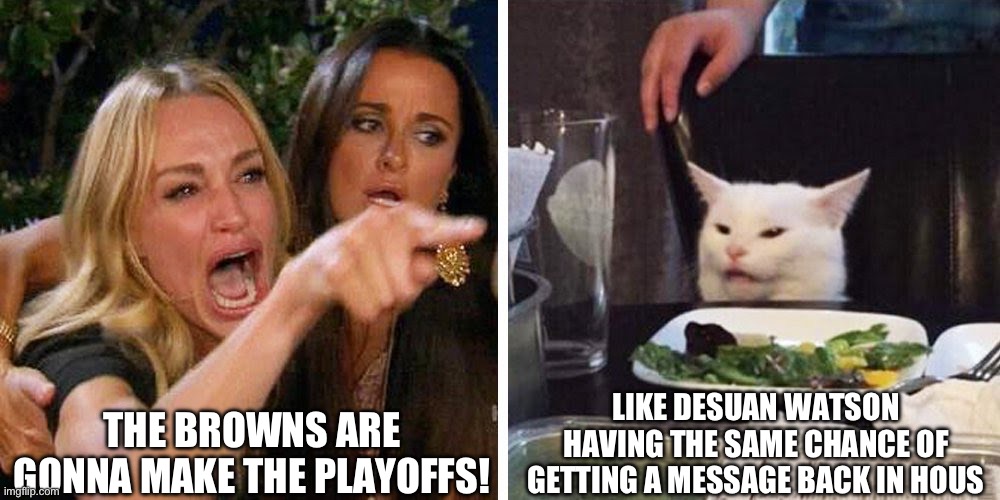 Browns Fans be like | THE BROWNS ARE GONNA MAKE THE PLAYOFFS! LIKE DESUAN WATSON HAVING THE SAME CHANCE OF GETTING A MESSAGE BACK IN HOUSTON | image tagged in smudge the cat | made w/ Imgflip meme maker