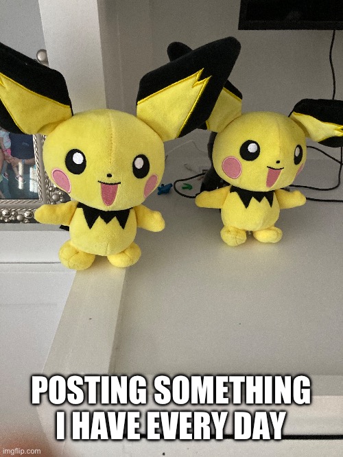 #1 and 2: My two Pichu Plushies | POSTING SOMETHING I HAVE EVERY DAY | image tagged in pichus | made w/ Imgflip meme maker