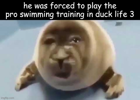 title | he was forced to play the pro swimming training in duck life 3 | image tagged in forced seal | made w/ Imgflip meme maker