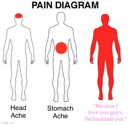 [part 1/2] laying awake at night and thinking of this feels like multiple punches to the gut | "Because I love you guys, Technoblade out." | image tagged in pain diagram | made w/ Imgflip meme maker