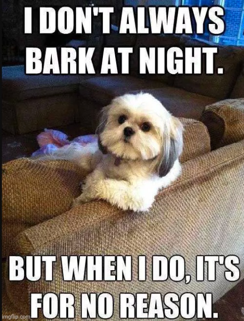 The most interesting dog | image tagged in i don't always bark,but when i do | made w/ Imgflip meme maker