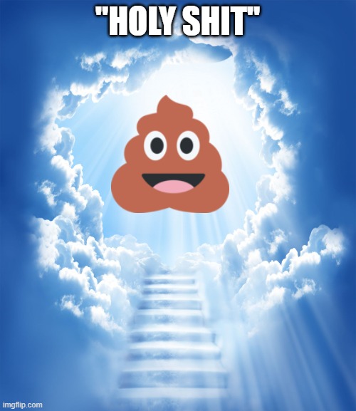 Heaven | "HOLY SHIT" | image tagged in heaven | made w/ Imgflip meme maker