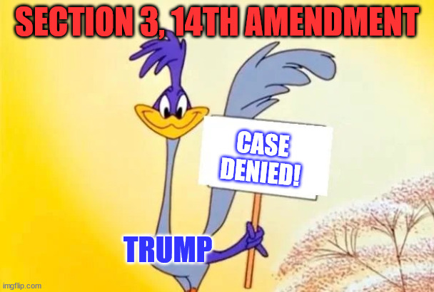 Beep beep... | SECTION 3, 14TH AMENDMENT; CASE DENIED! TRUMP | image tagged in roadrunner,beep beep,crying liberal,lawsuit,denied | made w/ Imgflip meme maker