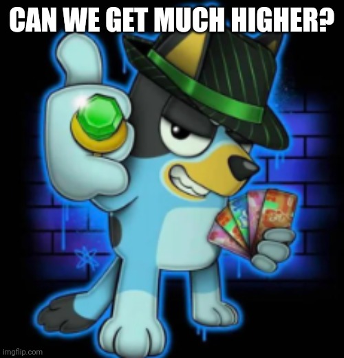 gangsta bluey | CAN WE GET MUCH HIGHER? | image tagged in gangsta bluey | made w/ Imgflip meme maker