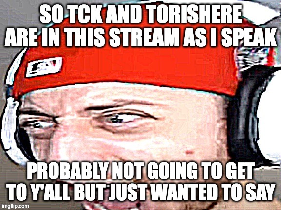 helm gnaw | SO TCK AND TORISHERE ARE IN THIS STREAM AS I SPEAK; PROBABLY NOT GOING TO GET TO Y'ALL BUT JUST WANTED TO SAY | image tagged in wubzy screaming | made w/ Imgflip meme maker