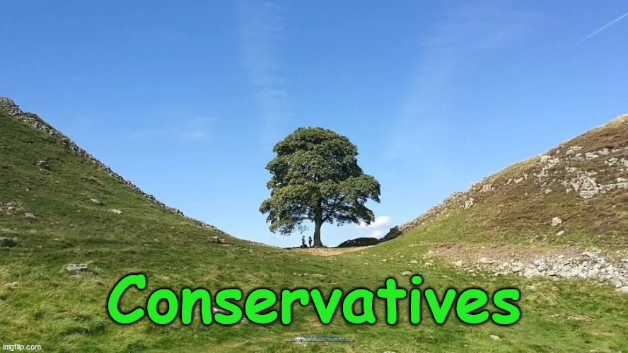 Conservatives | Conservatives; Sycamore Gap tree Northumberland Hadrian’s Wall 
Kevin Costner’s 1991 film Robin Hood: Prince of Thieves Robin Hood Tree Steve James | image tagged in steve james,labourisdead,robin hood tree,sycamore gap tree,kevin costner film,hadrrian wall tree | made w/ Imgflip meme maker