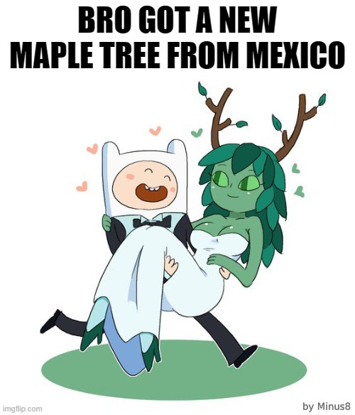 Maple | BRO GOT A NEW MAPLE TREE FROM MEXICO | image tagged in marrying a tree,funny,memes | made w/ Imgflip meme maker