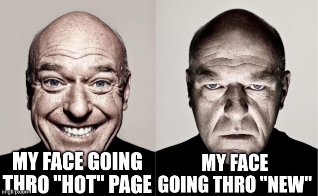 (most of the time) | MY FACE GOING THRO "HOT" PAGE; MY FACE GOING THRO "NEW" | image tagged in hank | made w/ Imgflip meme maker