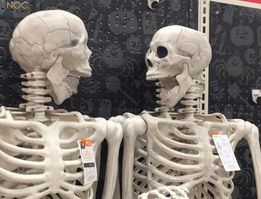 Spooked Skeletons Blank Meme Template