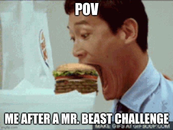 POV; ME AFTER A MR. BEAST CHALLENGE | image tagged in mr beast | made w/ Imgflip meme maker