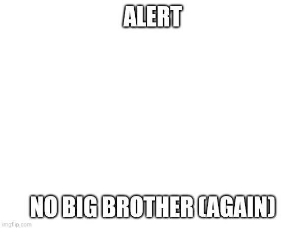 Blc of stuff to do | ALERT; NO BIG BROTHER (AGAIN) | image tagged in big brother | made w/ Imgflip meme maker