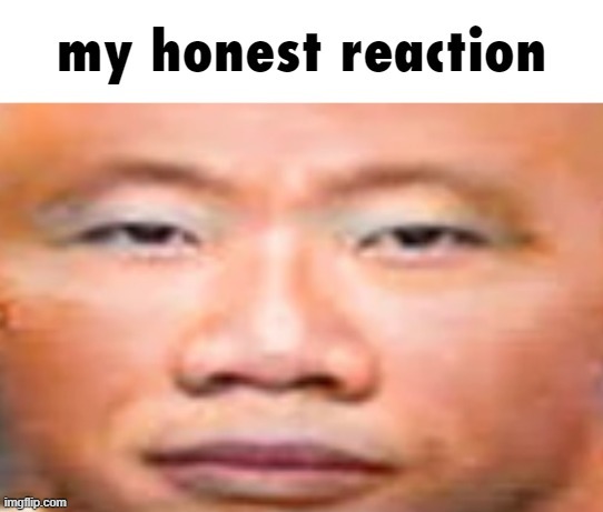 my honest reaction | image tagged in my honest reaction | made w/ Imgflip meme maker