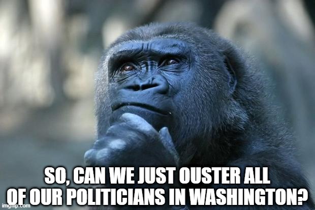 Asking for a Friend | SO, CAN WE JUST OUSTER ALL OF OUR POLITICIANS IN WASHINGTON? | image tagged in deep thoughts | made w/ Imgflip meme maker