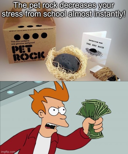 GIVE ME THAT | The pet rock decreases your stress from school almost instantly! | image tagged in shut up give me your money,memes | made w/ Imgflip meme maker