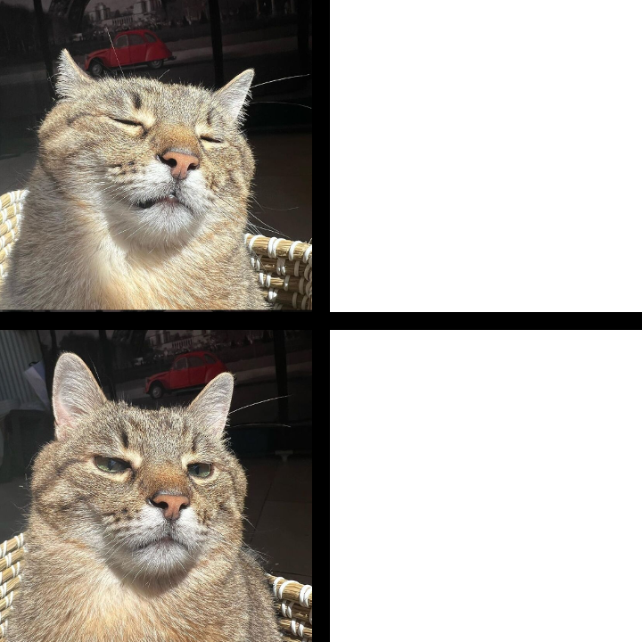 High Quality Stepan cat Blank Meme Template