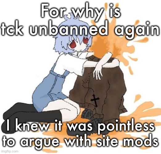 rei | For why is tck unbanned again; I knew it was pointless to argue with site mods | image tagged in rei | made w/ Imgflip meme maker