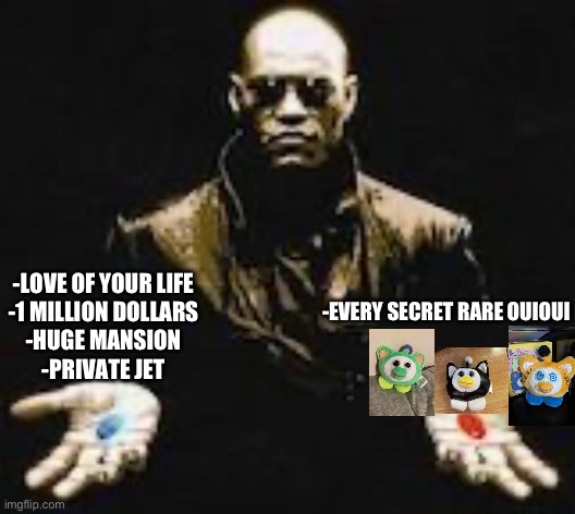 make a decision | -LOVE OF YOUR LIFE
-1 MILLION DOLLARS
-HUGE MANSION
-PRIVATE JET; -EVERY SECRET RARE OUIOUI | image tagged in morpheus red and blue pill | made w/ Imgflip meme maker