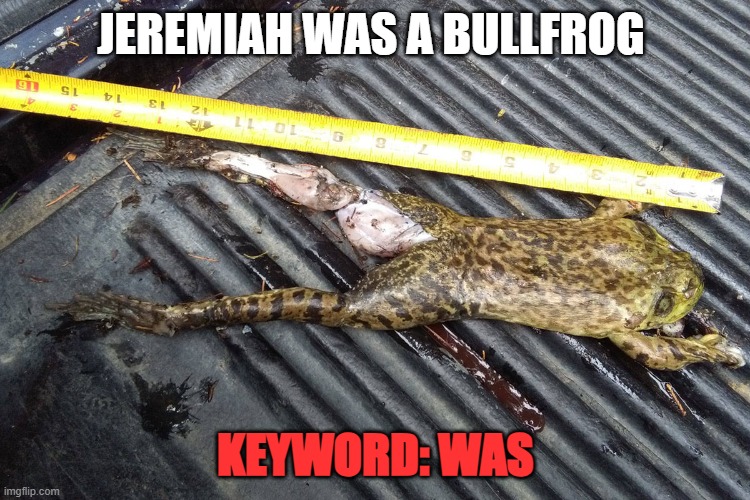 JEREMIAH WAS A BULLFROG; KEYWORD: WAS | made w/ Imgflip meme maker