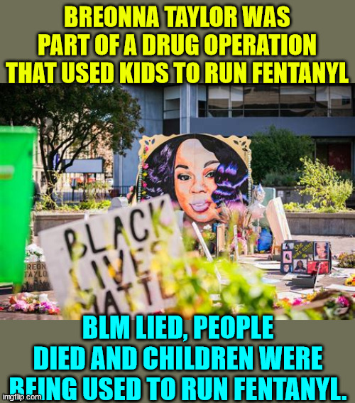 BLM is a criminal enterprise... | BREONNA TAYLOR WAS PART OF A DRUG OPERATION THAT USED KIDS TO RUN FENTANYL; BLM LIED, PEOPLE DIED AND CHILDREN WERE BEING USED TO RUN FENTANYL. | image tagged in blm,criminal,enterprise | made w/ Imgflip meme maker