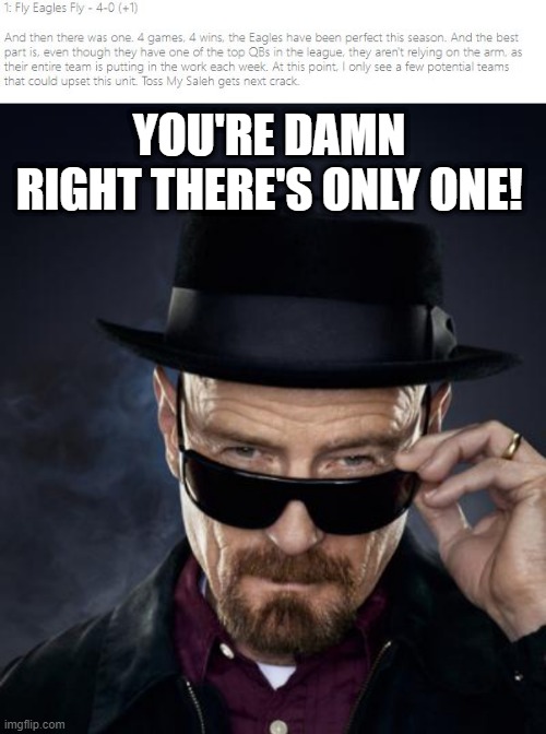 I Rule Fantasy! | YOU'RE DAMN RIGHT THERE'S ONLY ONE! | image tagged in breaking bad walter white | made w/ Imgflip meme maker