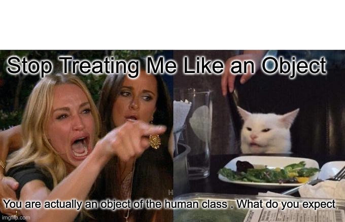 Woman Yelling At Cat | Stop Treating Me Like an Object; You are actually an object of the human class . What do you expect | image tagged in memes,woman yelling at cat | made w/ Imgflip meme maker
