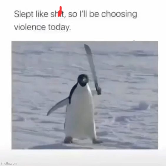 image tagged in memes | made w/ Imgflip meme maker