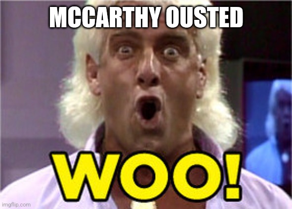 MCCARTHY OUSTED | image tagged in funny | made w/ Imgflip meme maker