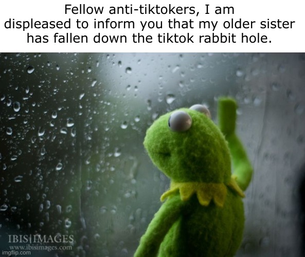 Fellow anti-tiktokers, I am displeased to inform you that my older sister has fallen down the tiktok rabbit hole. | image tagged in tiktok sucks | made w/ Imgflip meme maker