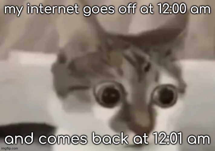 bombastic side eye cat | my internet goes off at 12:00 am; and comes back at 12:01 am | image tagged in bombastic side eye cat | made w/ Imgflip meme maker