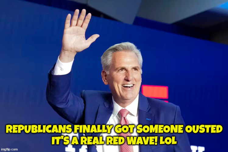 Red Wave! | REPUBLICANS FINALLY GOT SOMEONE OUSTED
IT'S A REAL RED WAVE! LOL | image tagged in kevin mccarthy,matt gaetz,red wave,ousted,maga,job opening | made w/ Imgflip meme maker