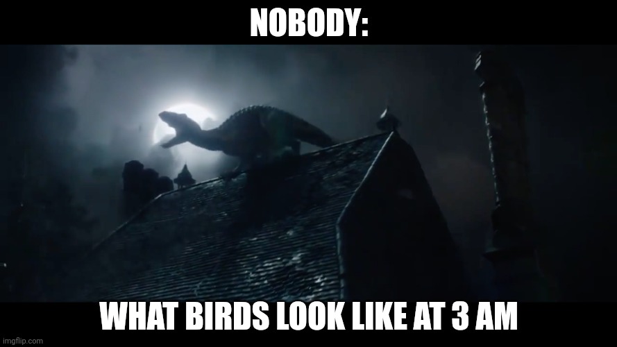 Indoraptor Roaring | NOBODY:; WHAT BIRDS LOOK LIKE AT 3 AM | image tagged in indoraptor roaring | made w/ Imgflip meme maker