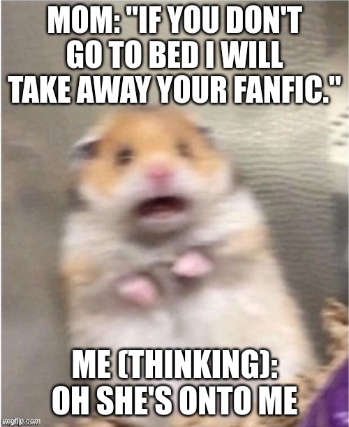 Scared Hamster | MOM: "IF YOU DON'T GO TO BED I WILL TAKE AWAY YOUR FANFIC."; ME (THINKING): OH SHE'S ONTO ME | image tagged in scared hamster | made w/ Imgflip meme maker