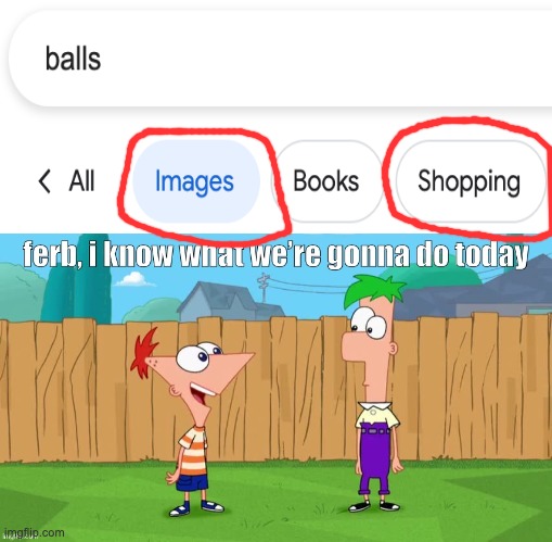 What is wrong with google? | image tagged in ferb i know what we re gonna do today,balls | made w/ Imgflip meme maker