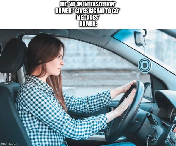 HEY GET OF THE F****** ROAD MORON | ME: *AT AN INTERSECTION*
DRIVER:* GIVES SIGNAL TO GO* 
ME:* GOES*
DRIVER: | image tagged in woman honks car horn,memes,funny memes | made w/ Imgflip meme maker