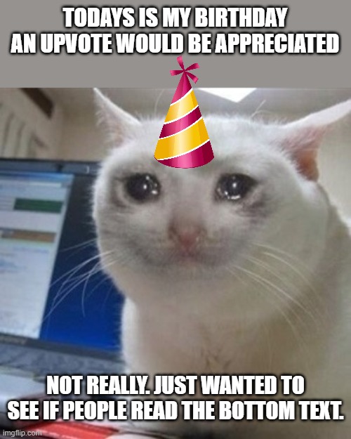 Gotcha | TODAYS IS MY BIRTHDAY
AN UPVOTE WOULD BE APPRECIATED; NOT REALLY. JUST WANTED TO SEE IF PEOPLE READ THE BOTTOM TEXT. | image tagged in crying cat,birthday,bottom text,upvote begging | made w/ Imgflip meme maker