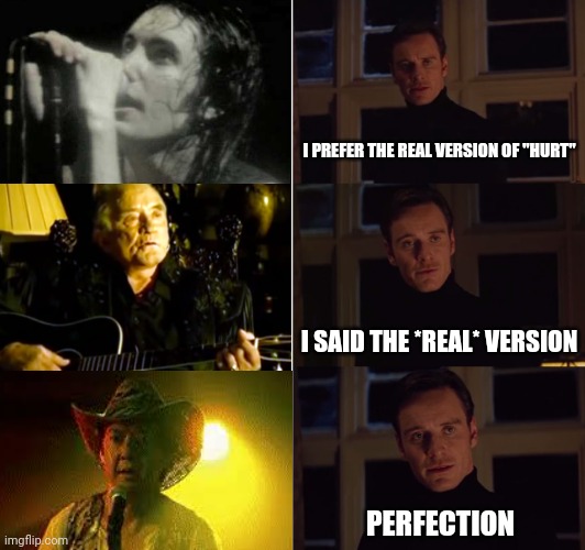 Perfect Hurt | I PREFER THE REAL VERSION OF "HURT"; I SAID THE *REAL* VERSION; PERFECTION | image tagged in perfection,magneto,hurt,nine inch nails,johnny cash,the hangover | made w/ Imgflip meme maker
