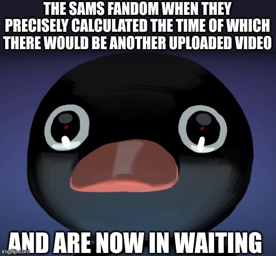 Sun and Moon Show (SAMS) Fandom Noot Noot meme | THE SAMS FANDOM WHEN THEY PRECISELY CALCULATED THE TIME OF WHICH THERE WOULD BE ANOTHER UPLOADED VIDEO; AND ARE NOW IN WAITING | image tagged in pingu stare | made w/ Imgflip meme maker