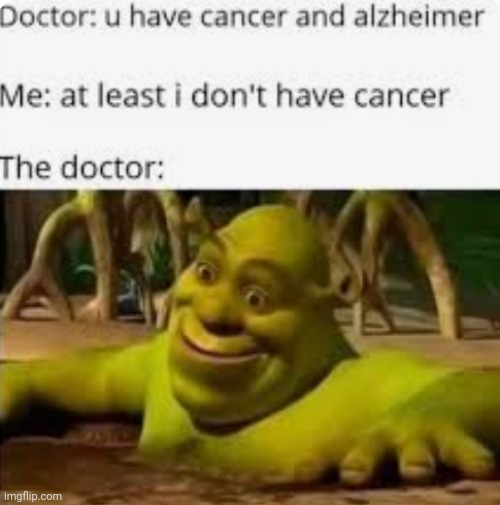 Very forgetful | image tagged in shrek | made w/ Imgflip meme maker