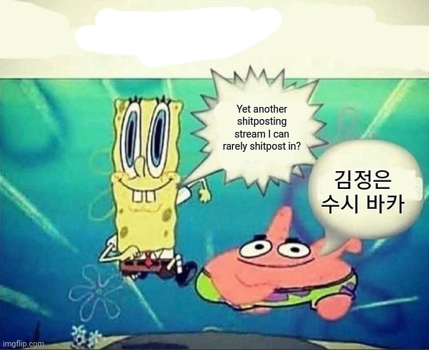 5 dollar foot long | Yet another shitposting stream I can rarely shitpost in? 김정은 수시 바카 | image tagged in 5 dollar foot long | made w/ Imgflip meme maker