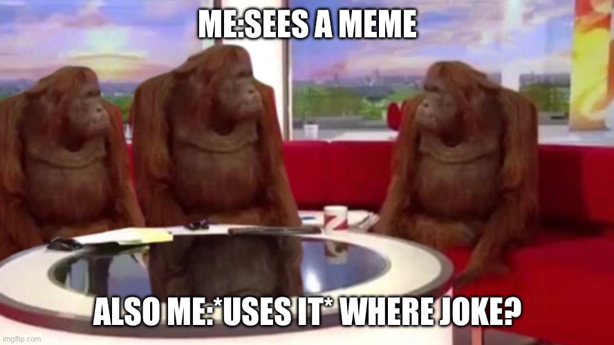 This true | ME:SEES A MEME; ALSO ME:*USES IT* WHERE JOKE? | image tagged in orangutan interview | made w/ Imgflip meme maker