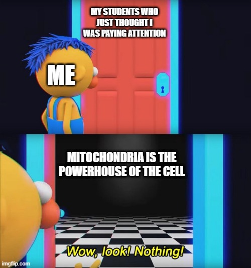 I would have paid attention for my students | MY STUDENTS WHO JUST THOUGHT I WAS PAYING ATTENTION; ME; MITOCHONDRIA IS THE POWERHOUSE OF THE CELL | image tagged in wow look nothing,memes,school,funny | made w/ Imgflip meme maker