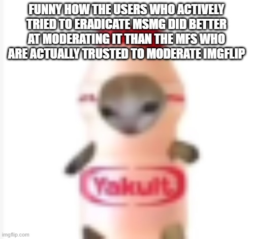 yakult cat | FUNNY HOW THE USERS WHO ACTIVELY TRIED TO ERADICATE MSMG DID BETTER AT MODERATING IT THAN THE MFS WHO ARE ACTUALLY TRUSTED TO MODERATE IMGFLIP | image tagged in yakult cat | made w/ Imgflip meme maker